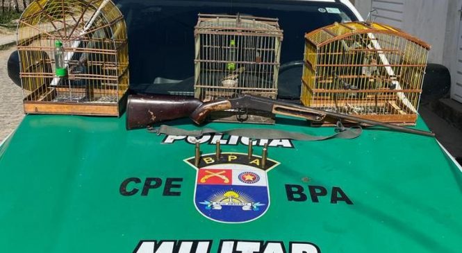 Polícia Ambiental apreende seis armas, um simulacro e resgata cinco aves silvestres