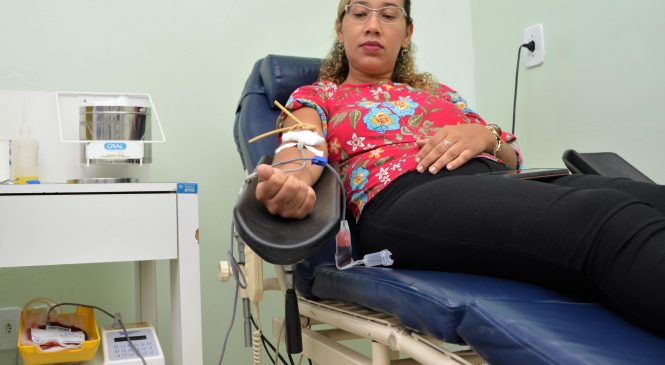 Hemoal promove nesta terça coletas externas de sangue em Arapiraca e Maceió