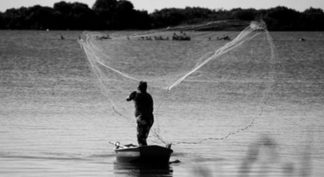 Pesca ameaçada: MPF discute impactos sociais da mortandade de peixes no rio Santo Antônio