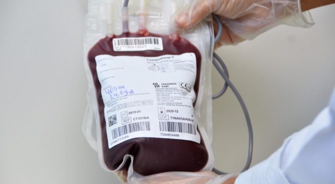 Hemoal promove coleta externa de sangue em Maceió nesta terça