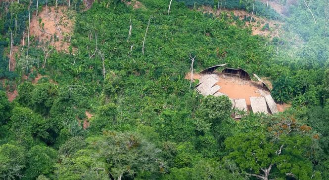 Desmatamento em áreas protegidas da Amazônia cai 73% em 2023