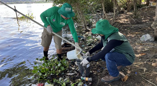 Mortandade de peixes não teve relação com evento da mina 18, diz IMA