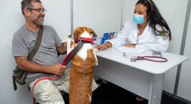 Maceió encerra campanha de vacinação antirrábica com 75 mil animais imunizados