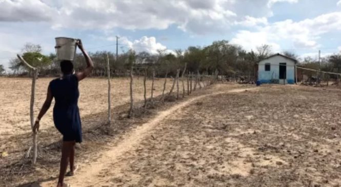 Seca severa deve atingir 30% dos municípios alagoanos, prevê Semarh Municípios