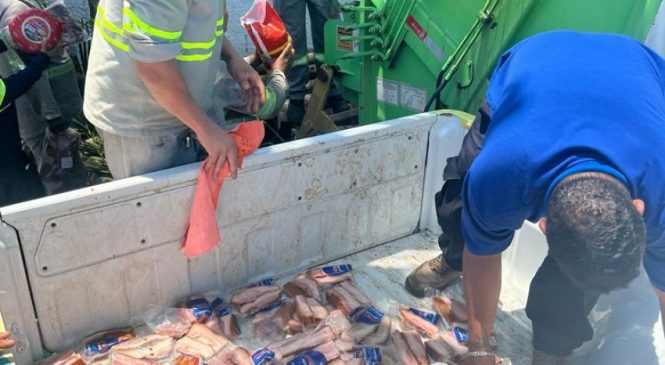 Vigilância Sanitária apreende 150 kg de alimentos impróprios para consumo em supermercado