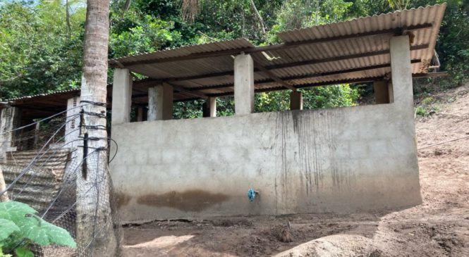 Vigilância Sanitária notifica pocilga clandestina no bairro de Riacho Doce