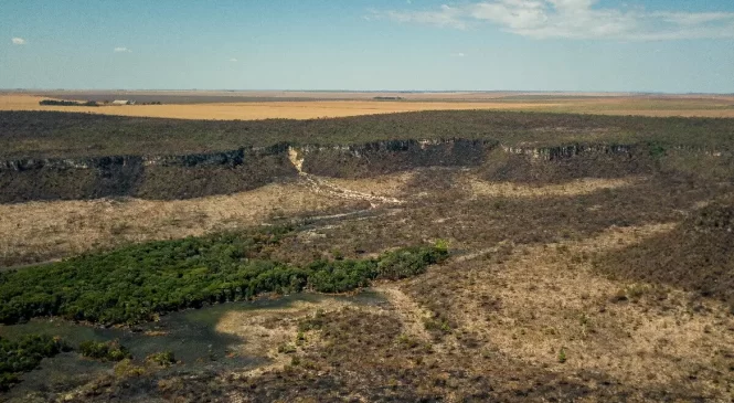 Governo monta força-tarefa para conter desmatamento no Cerrado
