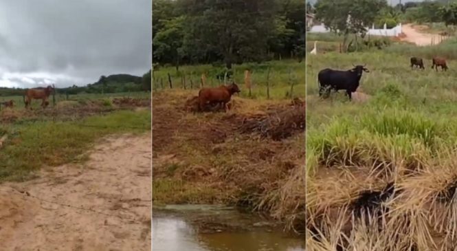 Defensoria cobra que Mata Grande retome acesso da população ao açude em Sítio Goiabal