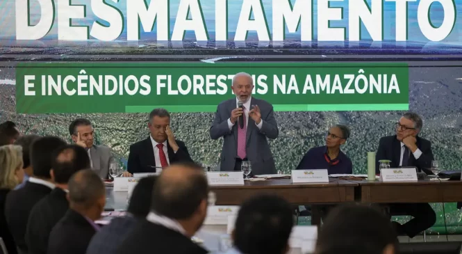 Amazônia terá R$ 730 milhões para combate a incêndios e desmatamento
