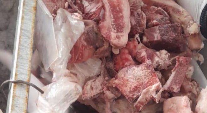 Vigilância Sanitária apreende 60 kg de carnes estragadas na Ponta Grossa