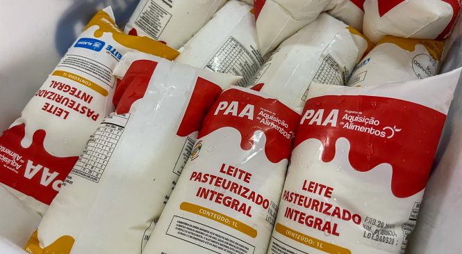 Governo de Alagoas compra um milhão de litros de leite por mês de agricultores familiares