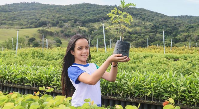 Nordesta promove em Alagoas evento de sustentabilidade e preservação ambiental