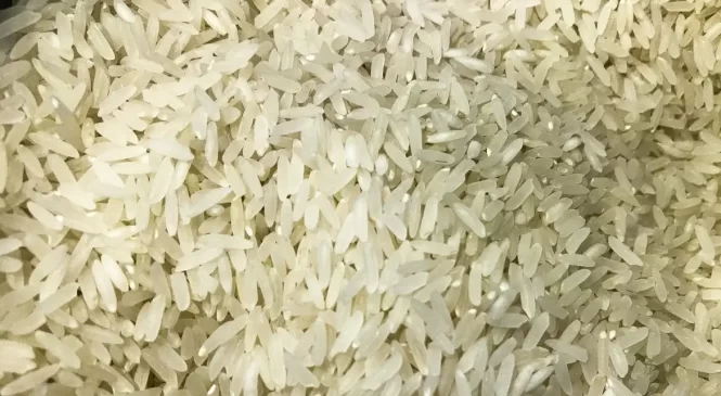 Conab compra 263,3 mil toneladas de arroz importado em leilão