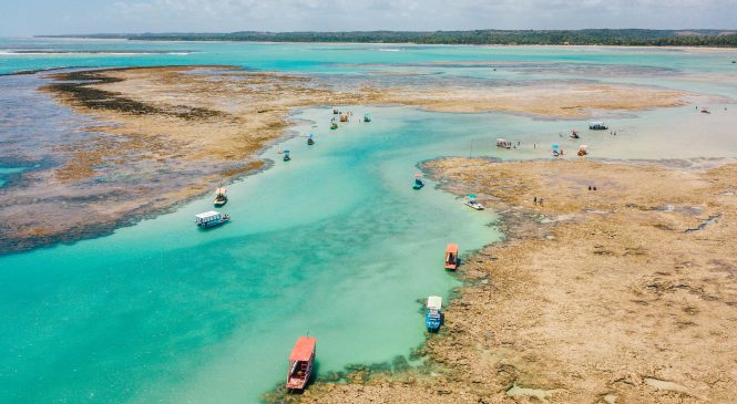 Praia do Patacho deve renovar certificação internacional do Selo Bandeira Azul 24/25