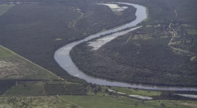 Brasil detém só 18% de patentes sobre flora endêmica da Mata Atlântica