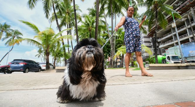 Sesau alerta sobre a importância da vigilância e controle de doenças transmitidas entre animais e seres humanos