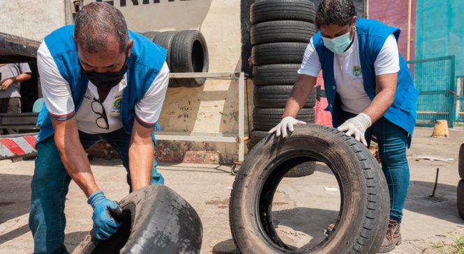 Mutirão de combate à dengue em Maceió começa segunda