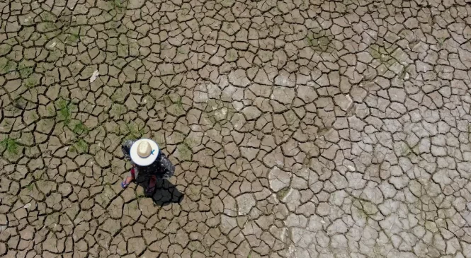 Mudanças climáticas já interferem em secas e cheias na Amazônia