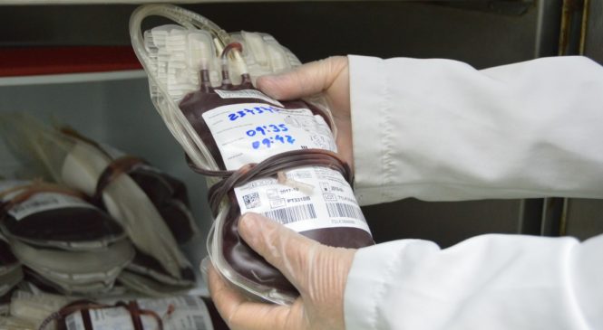 Hemoal realiza coleta externa de sangue em São Luís do Quitunde