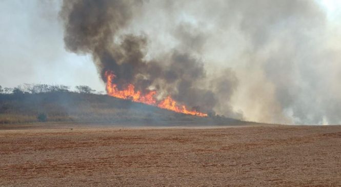 Mais de 80% dos focos de calor em SP estão em áreas do agro