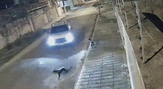 Homem é condenado por maus-tratos a animais em Maceió