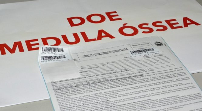 Hemoal registrar aumento de 120% no número de alagoanos cadastrados para doação de medula óssea