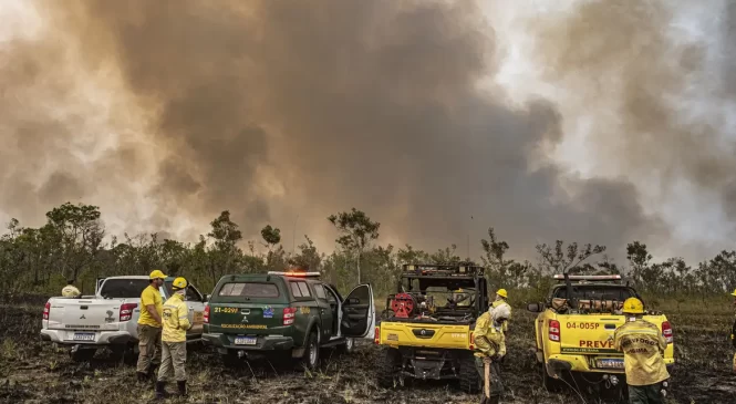 Governo anuncia meio bilhão de reais para combater incêndios florestais