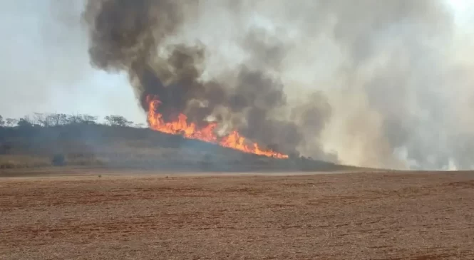 Brigadista morre durante combate a incêndio em São Paulo