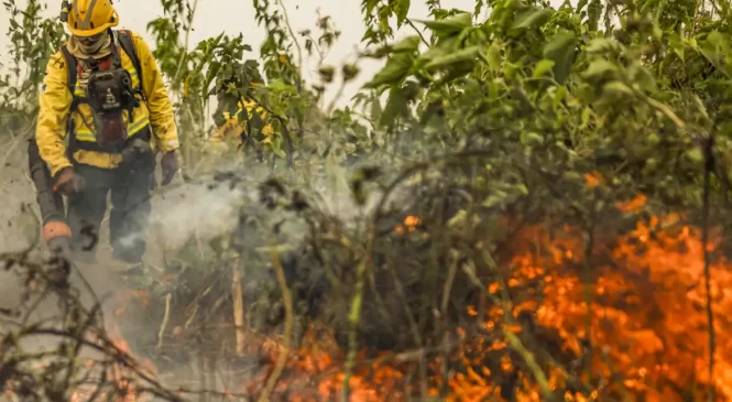 Brasil já registrou mais de 154 mil focos de calor este ano