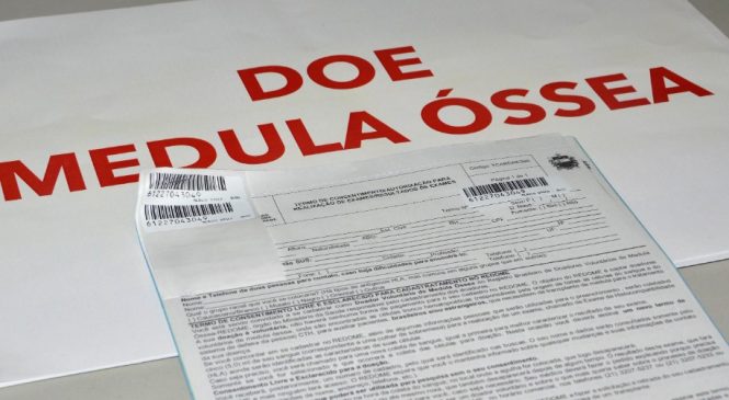 Hemoal realiza cadastro na Uncisal para doação de medula óssea nesta quarta