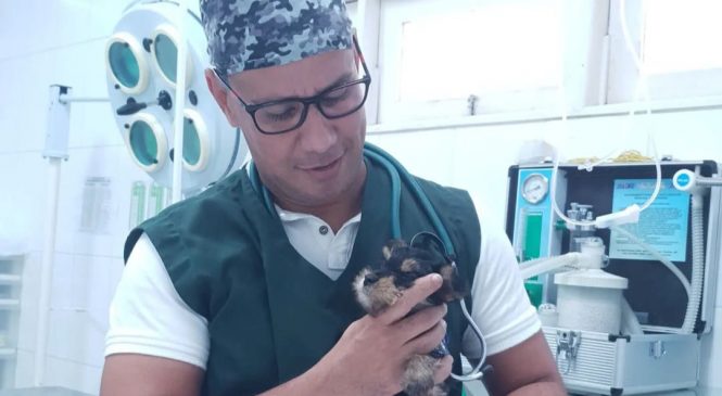 Campanha nacional celebra o dia do médico-veterinário