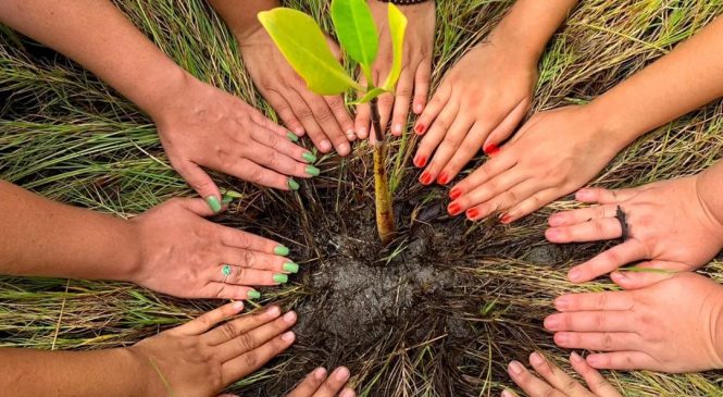 Startup liderada por mulher em Maceió representa a indústria de Alagoas na COP16 em Cali, Colômbia