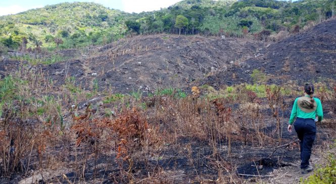 Período seco e baixa umidade em Alagoas aumentam riscos de queimadas, alerta IMA