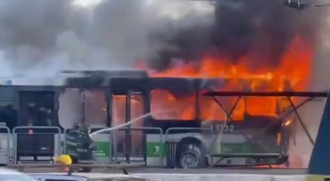 Vídeo: Avião de pequeno porte cai em ônibus na avenida de São Paulo